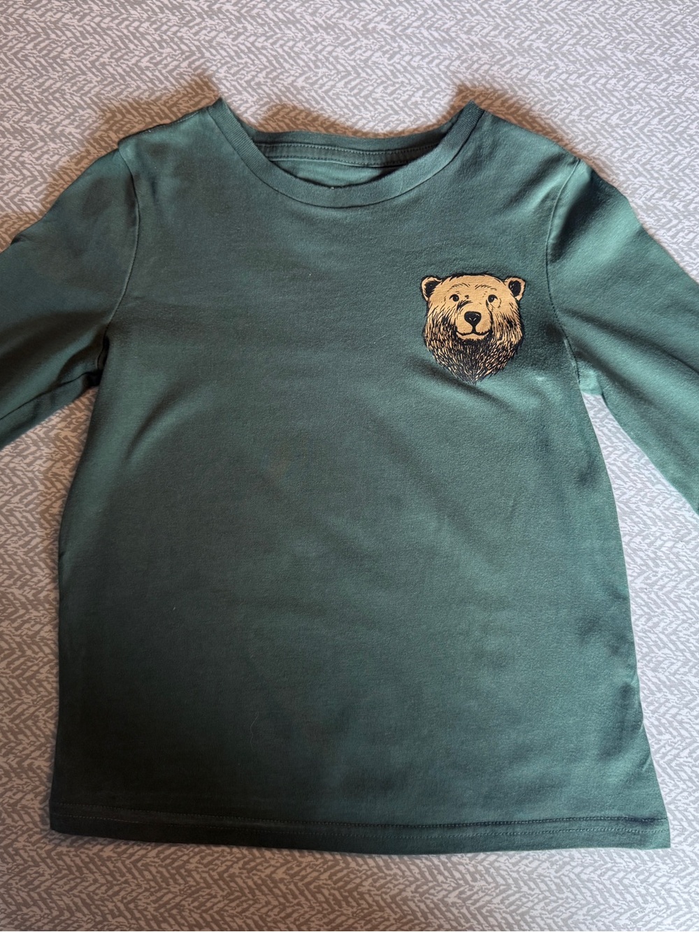 FABKIDS Boys Size S (6/7) Green Long Sleeve Graphic Shirt | Bear & Mountains